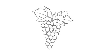 Naklejka premium A detailed black and white line drawing of a bunch of grapes with two leaves.