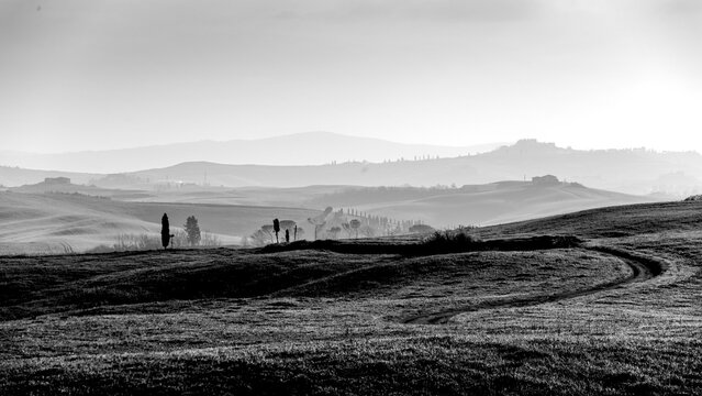 Panorami in bianco e nero della Toscana. Veduta collinare della Val d'Orcia lungo il percorso ciclistico dell'Eroica. Provincia di Siena. Toscana , Italia	