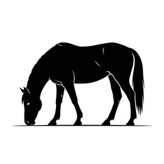 Obraz premium Black Silhouette of a Horse Grazing on a White Background