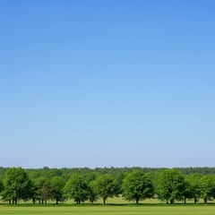 Obraz premium Lush green field under a clear blue sky on a sunny day.