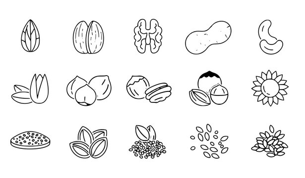 
Nuts & Seeds Outline Icon Collection &ndash; Minimal Editable Stroke Vector 64px