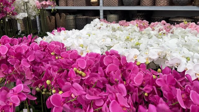 High-angle view of dense rows of pink, white, and peach artificial Phalaenopsis orchid blossoms displayed in a commercial garden center warehouse.