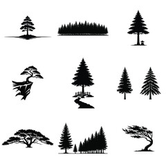 Fototapeta premium Collection of diverse tree and forest silhouettes, including pine, bonsai, and windswept trees, perfect for nature themed designs and outdoor branding.