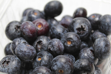 Pile of blueberries in transparent box, isolated on white background