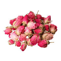 Tea rose flowers on white background close-up, isolated on white.