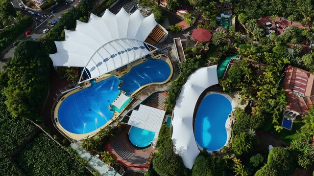 Aerial view of orca logging at the surface of a concrete tank illustrating the confinement of marine mammals in captivity