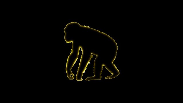 Yellow Neon Silhouette of a Chimpanzee Walking on a Black Background primate