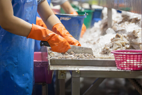 Factory worker wearing orange safety gloves using knife to fillet fresh fish in seafood processing line, Close-up of manual seafood preparation and filleting process in a large-scale food factory