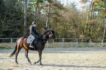 Portrait of a beautiful rider performing cross-walks with her horse