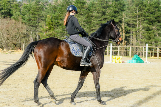 Portrait of a beautiful rider performing cross-walks with her horse