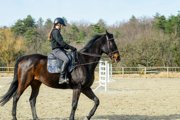Portrait of a beautiful rider performing cross-walks with her horse