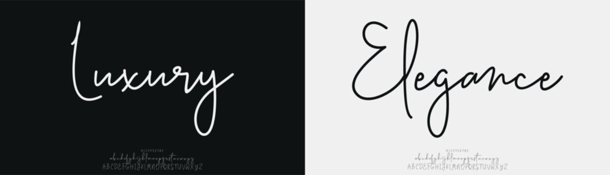 Luxury Elegance, signature Font Calligraphy Logotype Script Brush Font Type Font lettering handwritten
