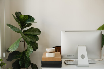 Clean Desk Setup With Computer Monitor, Moving Boxes, And Large Houseplant