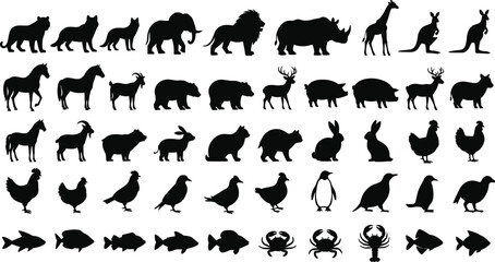 Black animal silhouette collection featuring diverse species including lions, elephants, rhinos, kangaroos, giraffes, horses, birds, fish, and crustaceans for educational, artistic © IconicCreations