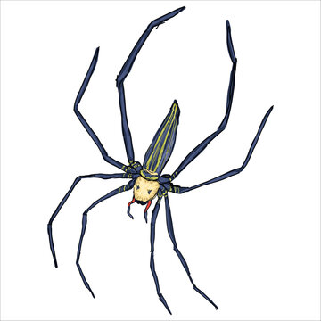 Giant Golden Orbweaver. Nephila pilipes. Colorful, hand-drawn, vector illustration. Picturesque. Unique detailed stylization. Print on sketchbooks, stickers, postcards, cups, clothes, posters.