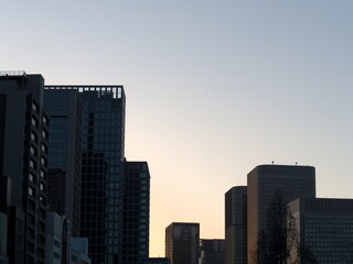 夕焼け空と高層ビル © miho