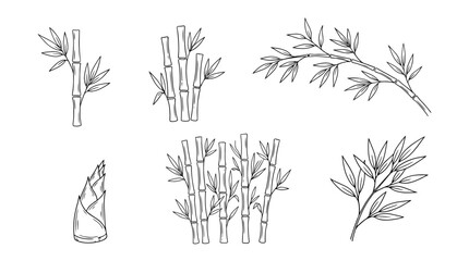 bamboo, 6 black delicate line drawings vector set collection , white background , PNG and SVG