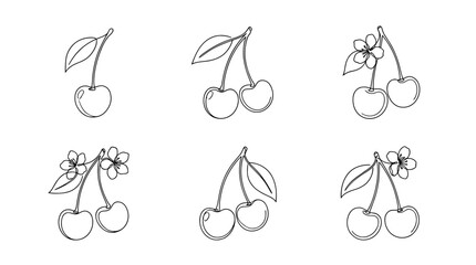Fototapeta premium cherry, 6 black delicate line drawings vector set collection , white background , PNG and SVG
