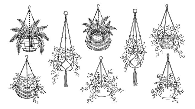 hanging basket, 6 black delicate line drawings vector set collection , white background , PNG and SVG
