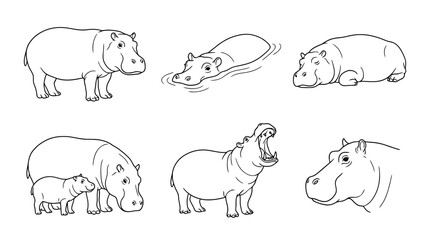 Fototapeta premium hippo, 6 black delicate line drawings vector set collection , white background , PNG and SVG