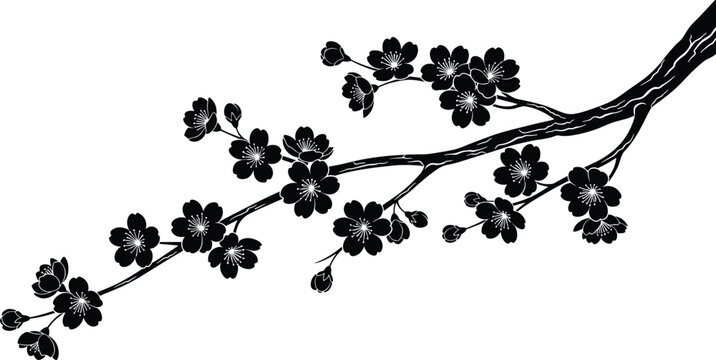 Black silhouette cherry blossom branch, plum tree flowers blooming, elegant sakura twigs detailed petals buds, minimalist vector illustration, Japanese floral design element