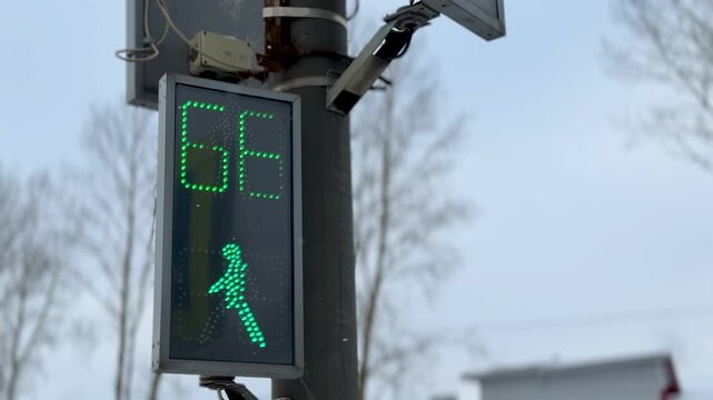 Green Pedestrian Walk Signal Showing Countdown And Animated Walking Icon On LED Display Transparent Casing, Pole Mounting And Tree Background Suggest Urban Intersection, Evening Commute.