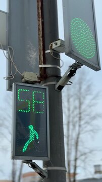 Green Pedestrian Walk Signal Showing Countdown And Animated Walking Icon On LED Display Transparent Casing, Pole Mounting And Tree Background Suggest Urban Intersection, Evening Commute.