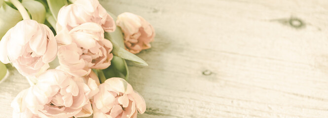 Tulpen orange in einer Reihe vor Holz Dekoration