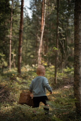 Obraz premium Child walking in bright pine forest with basket