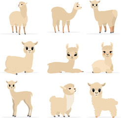 Fototapeta premium Collection of cute animals. Llamas and alpacas in various poses and beige colors. Vector. Isolated