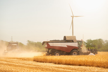 Fototapeta premium Combine harvester on the field at sunset. Wind turbine on the horizon