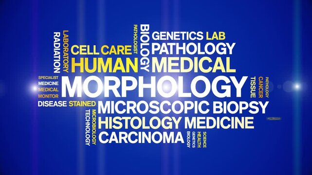 Morphology animated word cloud-text design animation tag kinetic typography seamless loop.