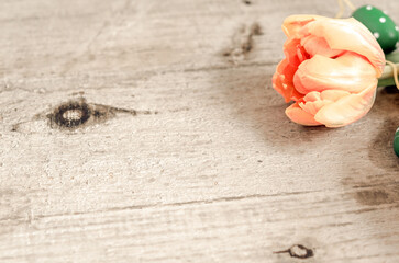 Einzelne Tulpe liegt auf Holz mit Osterei
