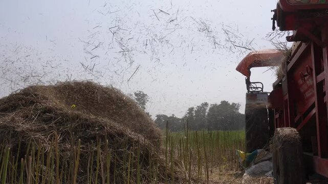 Farmers using a mechanical thresher or harvester in a field to extract grain from harvested crops such as wheat or rice.