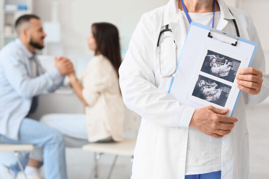 Female fertility doctor with sonogram image of couple after IVF in clinic