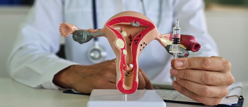 Treatment or vaccination of the uterus, STDs or diseases of the genital organs acute and chronic