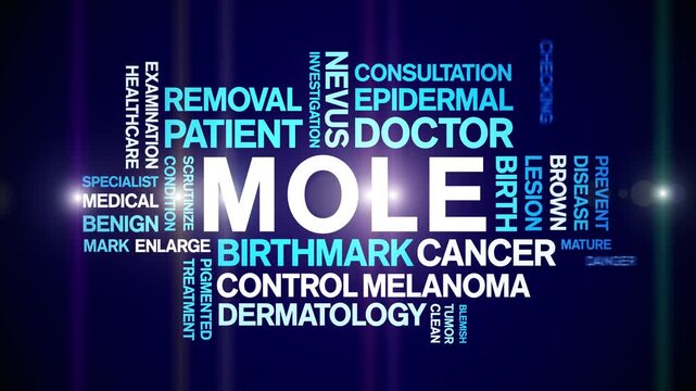 Mole animated word cloud-text design animation tag kinetic typography seamless loop.