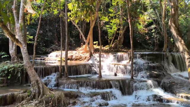 flowing water stream creek cascade waterfall in tropical forest