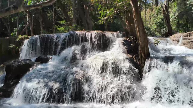 flowing water stream creek cascade waterfall in tropical forest