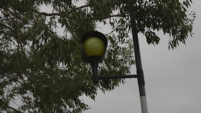 120fps. Zebra crossing, flashing light. 