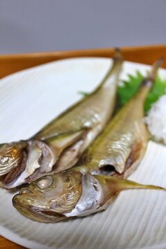 Japanese home cooking: grilled dried hatahata (Japanese sandfish) with grated daikon radish and shiso