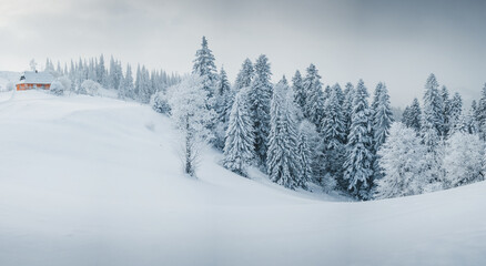 Snow-covered landscape with a cozy cabin nestled among tall pine trees during a serene winter day....