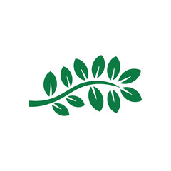 Fototapeta premium Green leafy branch with symmetrical leaves on a white background