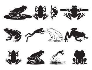 Fototapeta premium Frog Silhouettes Set | Jumping Amphibian Wildlife Icons | Black Frog Outline Clipart Collection