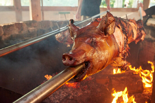 Whole Pig Roasting on a Spit