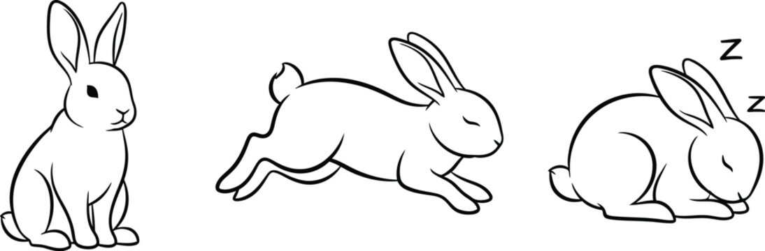 Running Rabbit Poses Rabbits Running Images – Browse 49,807 Stock Photos, Vectors, and Video ...