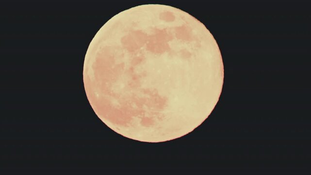 Close up of a bright full moon against a black night sky. Detailed surface texture is visible