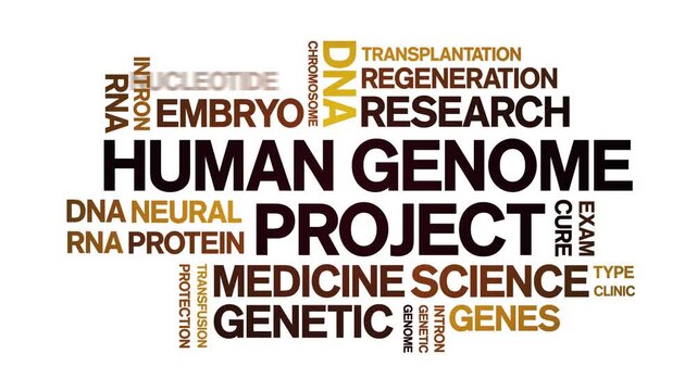 Human Genome Project animated word cloud-text design animation tag kinetic typography seamless loop.