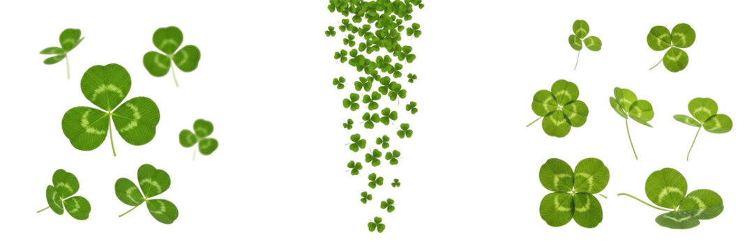 Set of falling Clover PNG - Four Leaf Clovers and Shamrocks Transparent Background PNG