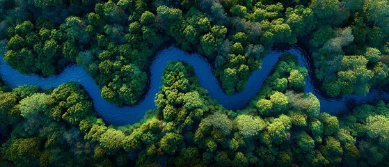 Aerial view of a winding blue river flowing through a dense green forest landscape © Anna